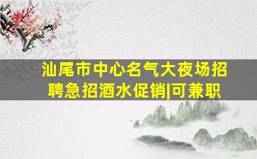 汕尾市中心名气大夜场招聘急招酒水促销|可兼职